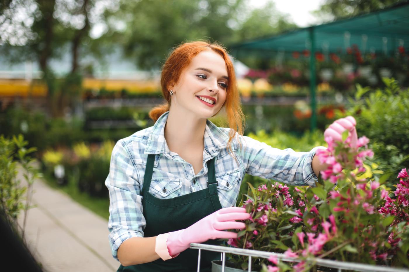 Servizi di Fiorilandia per l’Estate